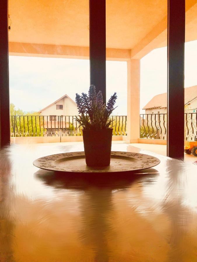 Breeze Villa Mamaia Nord Năvodari Kültér fotó